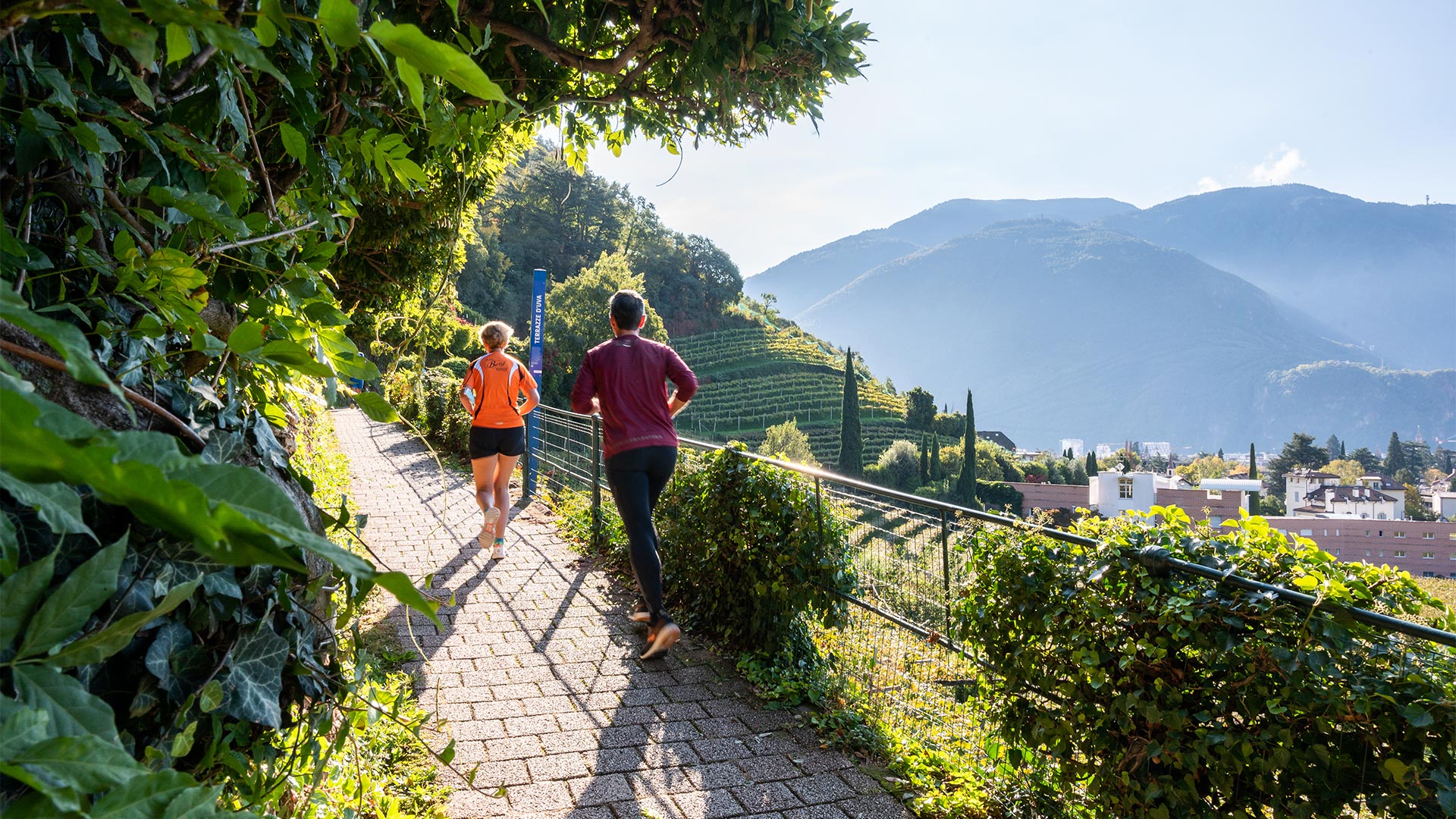 In una mattina d'estate o di primavera, il miglior modo per trovare l'ispirazione è quello di fare jogging sui sentieri di Bolzano.