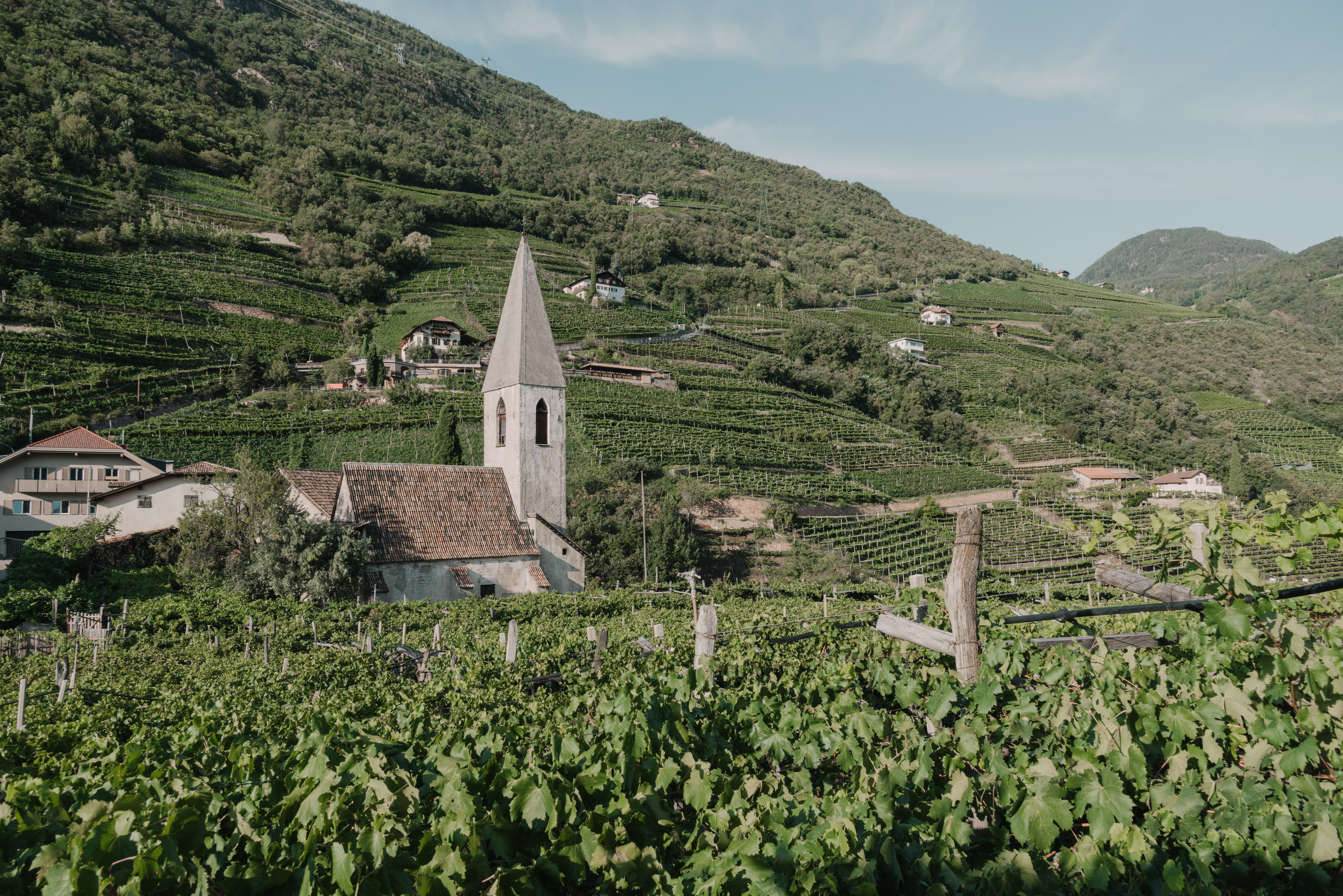 220220903 St Magdalener Culinarium HQ Fiorentino 7