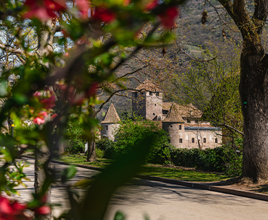 tour bozen