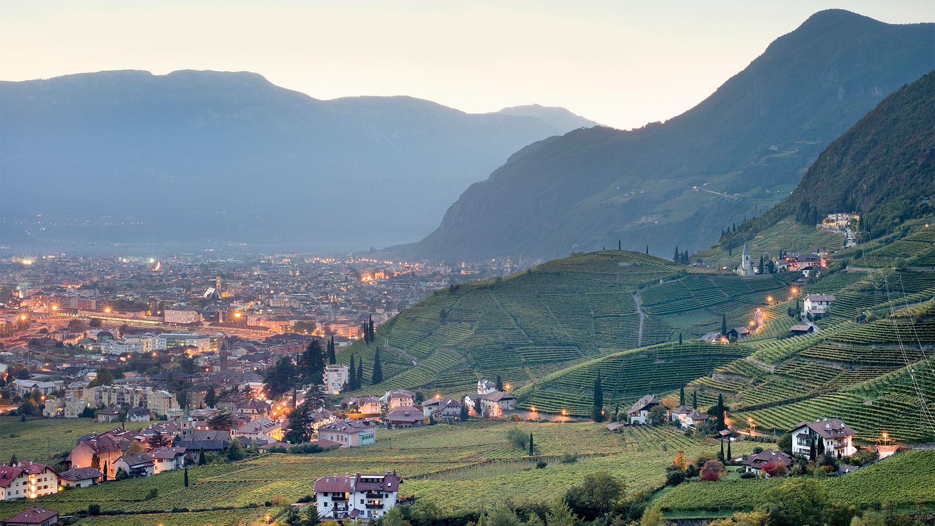 Panorama serale sui vigneti Bolzano in primo piano e la città illuminata sotto le montagne sullo sfondo.