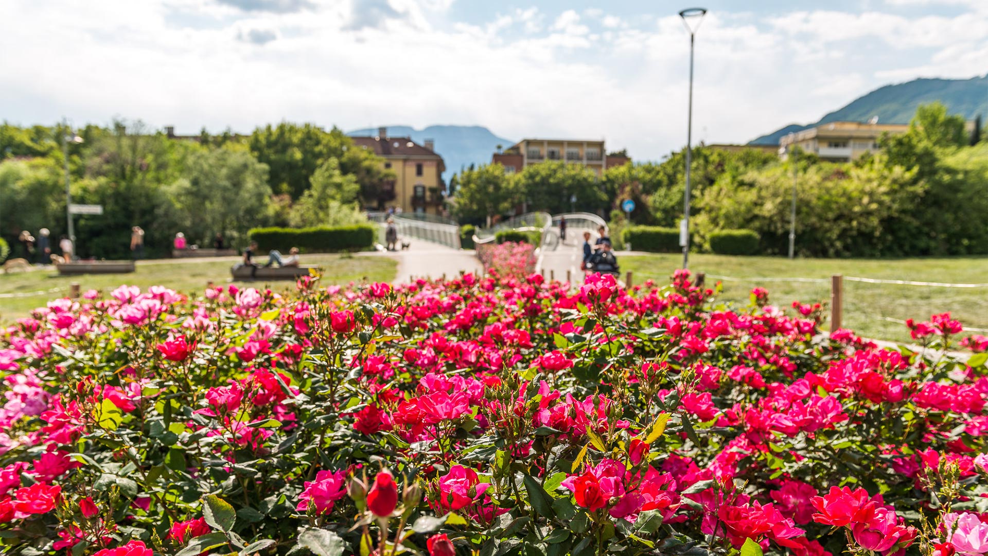 Landschaft vom Museum für zeitgenössische Kunst in Bozen mit Blick auf den Radweg über die Talfer.