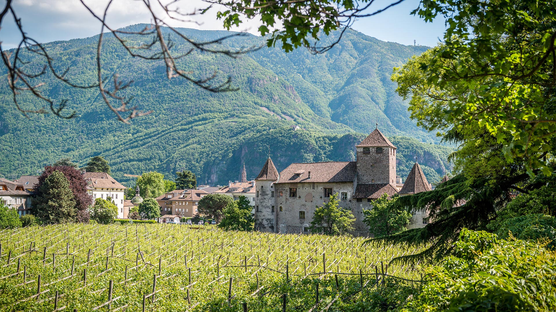 Vista panoramica dalle passeggiate di Bolzano sulla zona residenziale del centro e sul Castel Marecccio.  