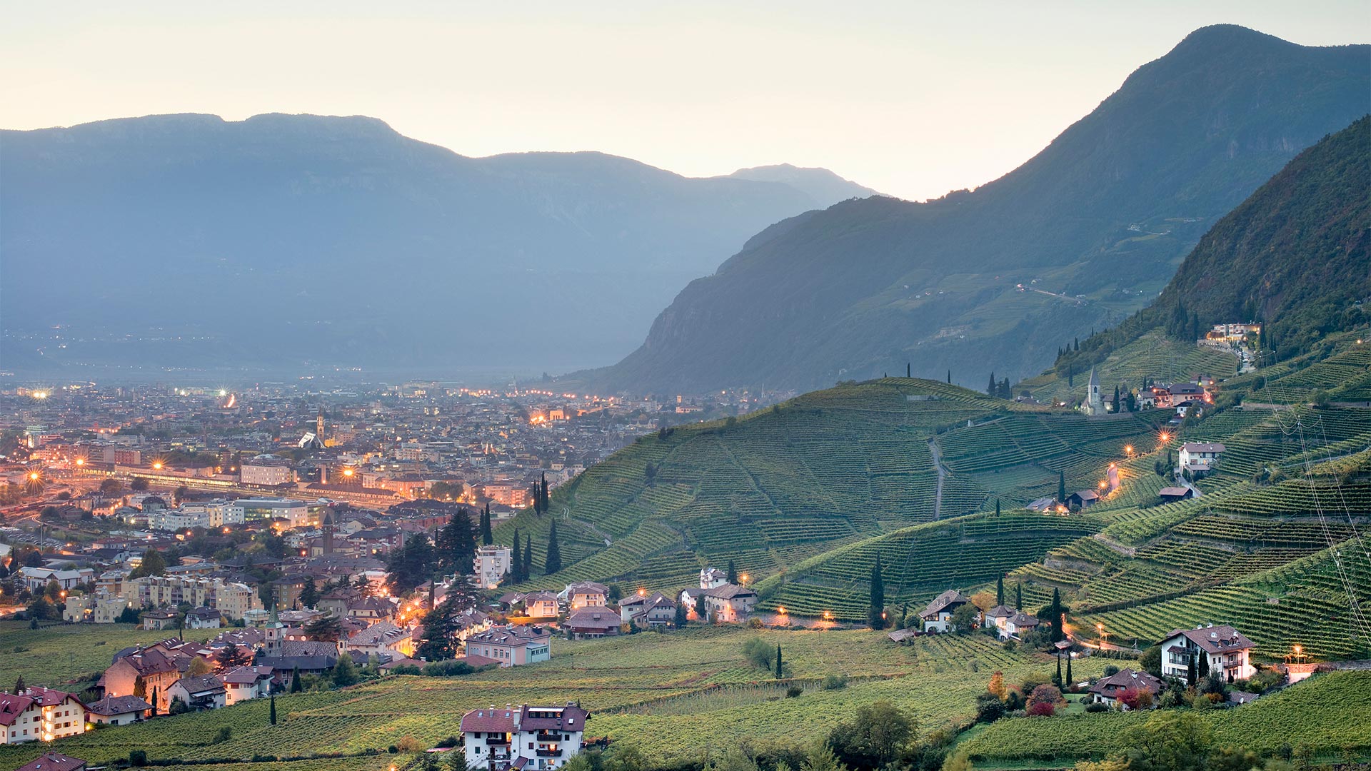 Evening view of Bolzano's vineyards in the foreground and the illuminated city below the mountains in the background.