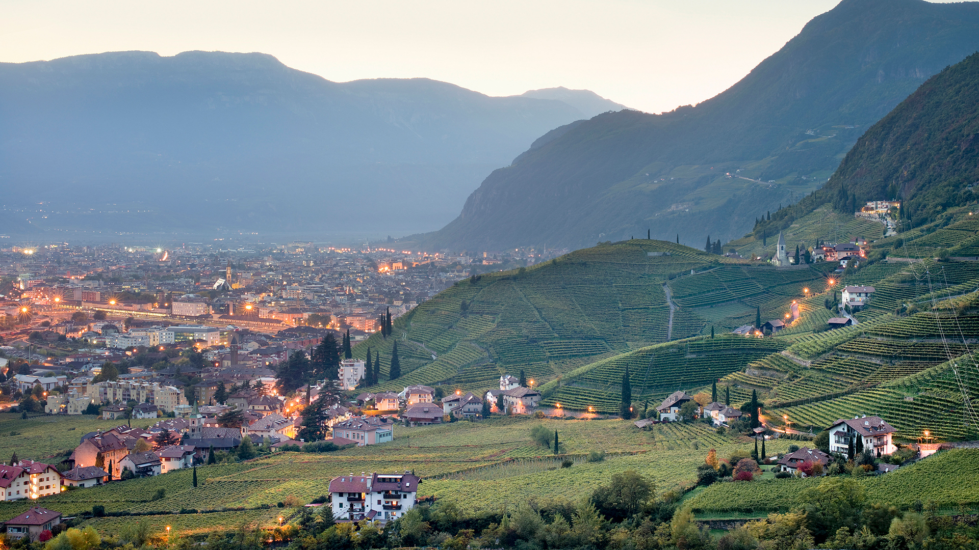Panorama serale sui vigneti a Bolzano in primo piano e la città illuminata sotto le montagne sullo sfondo.