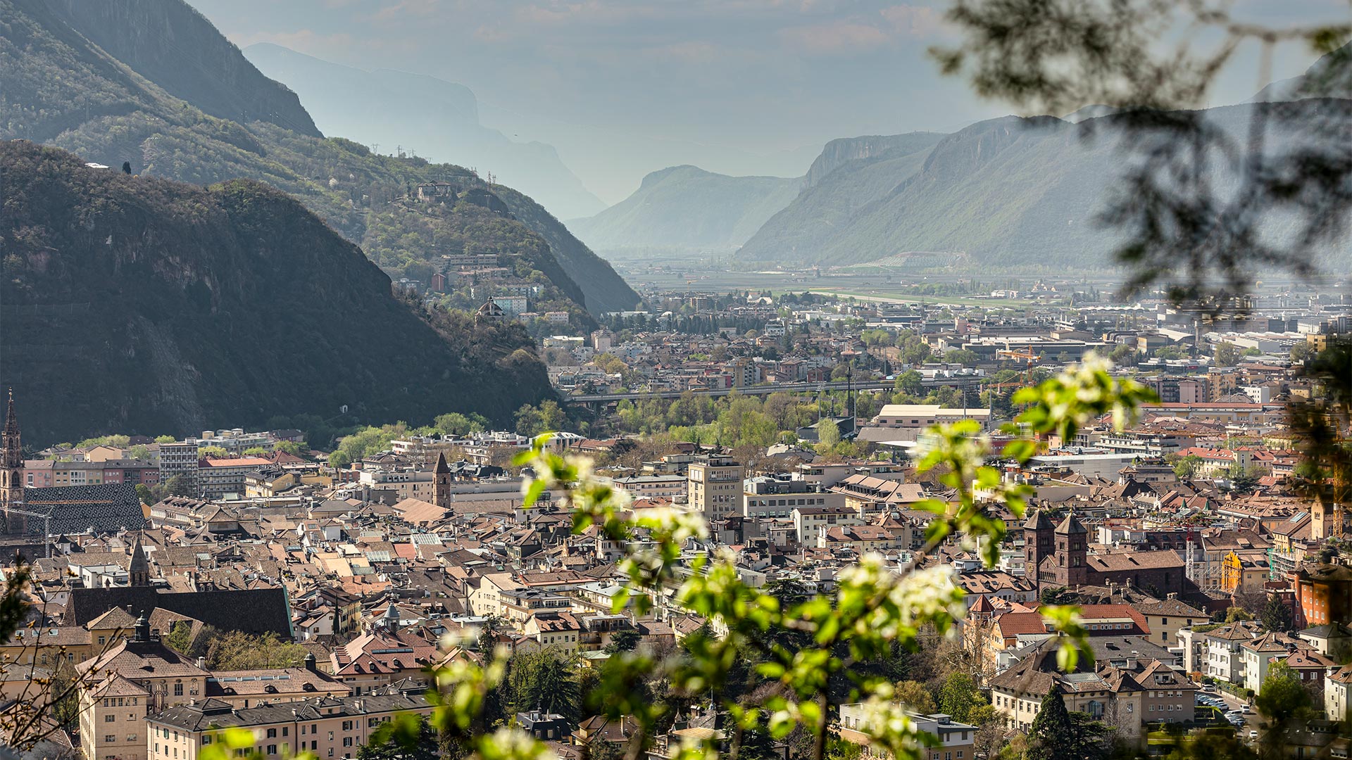 Panoramablick vom Jenesien Weg über die Stadt Bozen an einem Sommernachmittag.