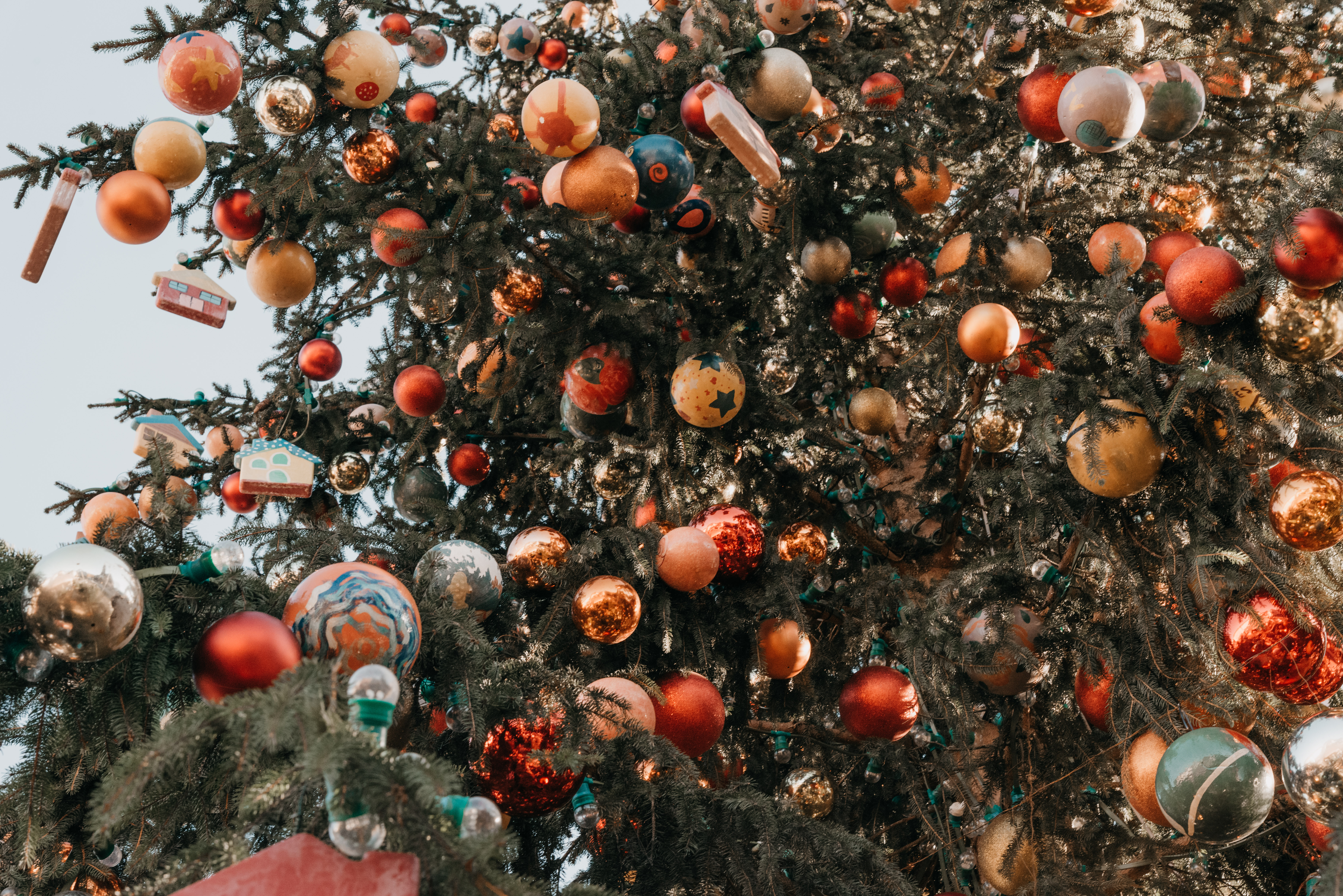 Christmas Market Courtesy Daniele Fiorentino8