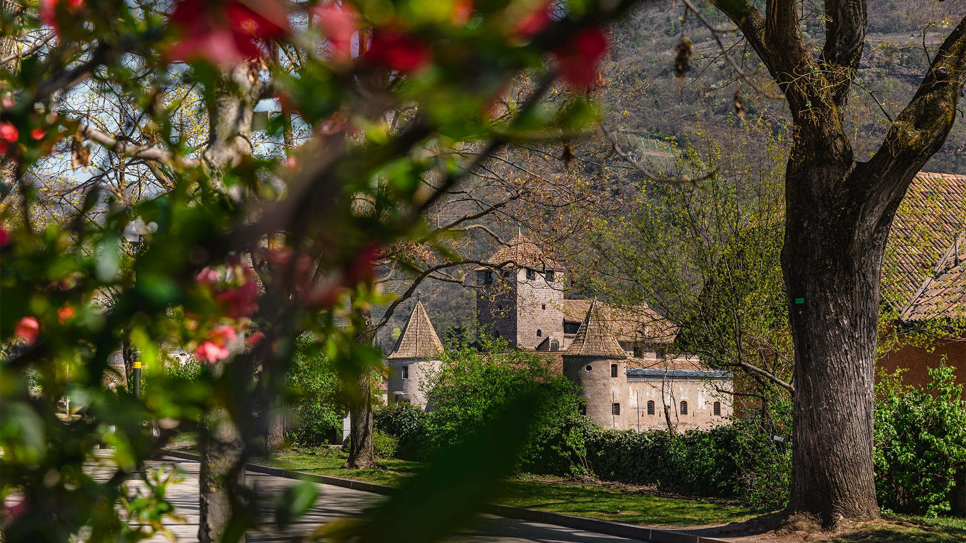 Vista sul Castel Mareccio dalle passeggiate del Talvera un pomeriggio di primavera.