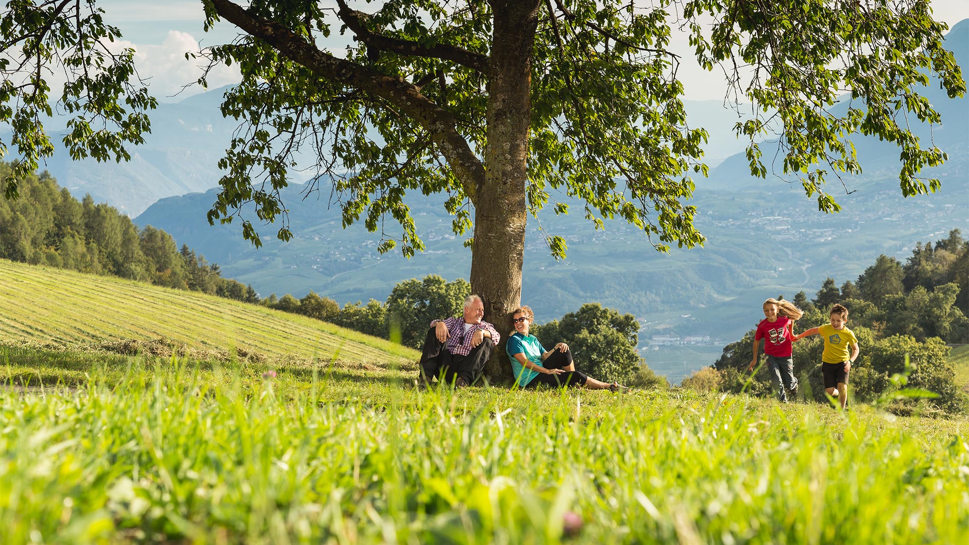 On a sunny day in a meadow in the Bolzano mountains, an elderly couple rest under a tree while their grandchildren play in nature. 