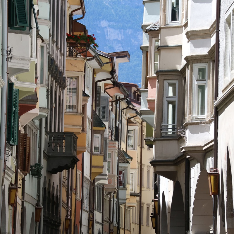Immagine 7