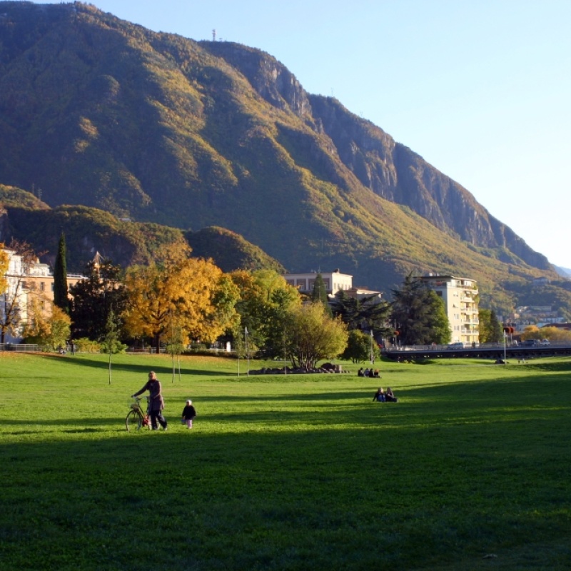 Immagine 2