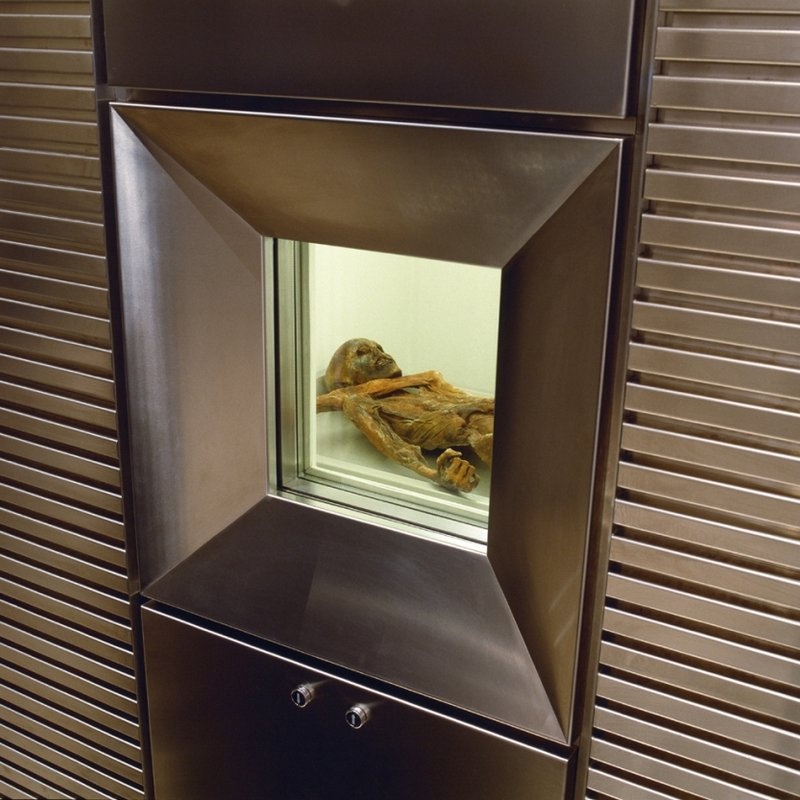Immagine 2