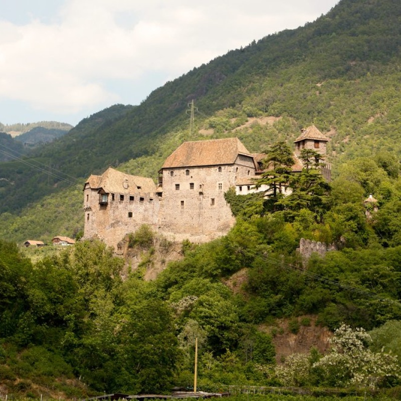 Immagine 2