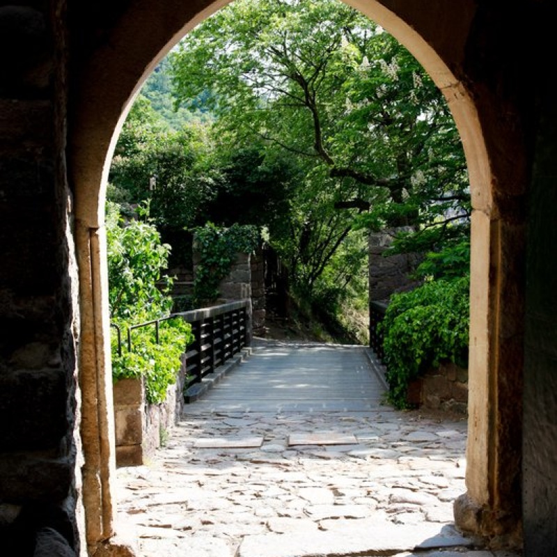 Immagine 3