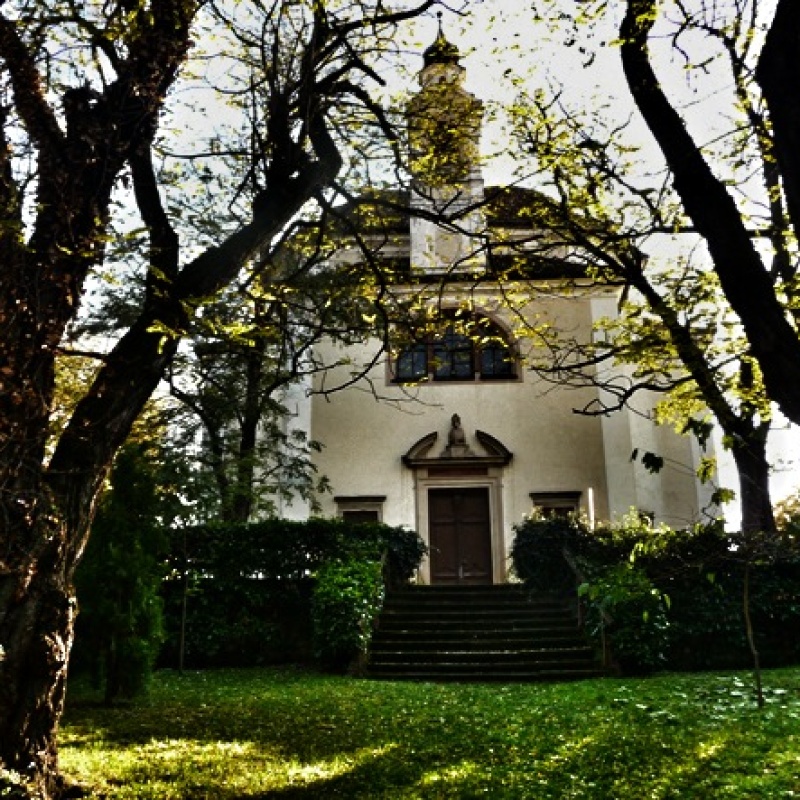 Immagine 1