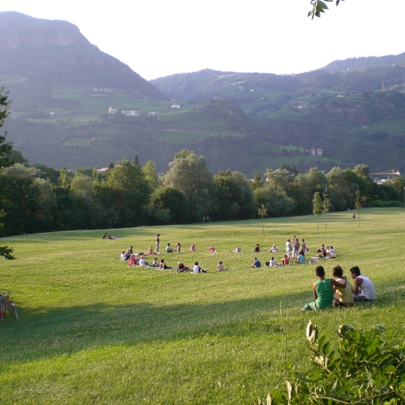 Immagine 5
