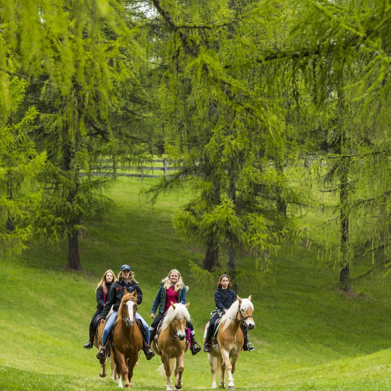 Bolzano Magazine BM Bozen - Pferde reiten Jenesien - Cavalcare San Genesio - Cavalli