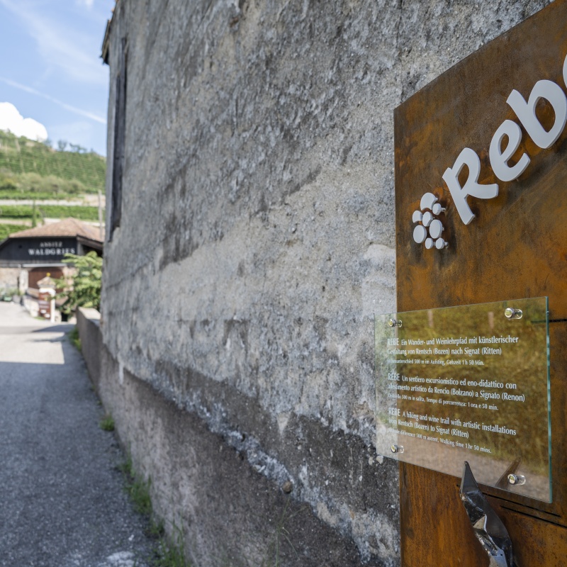 Immagine 3