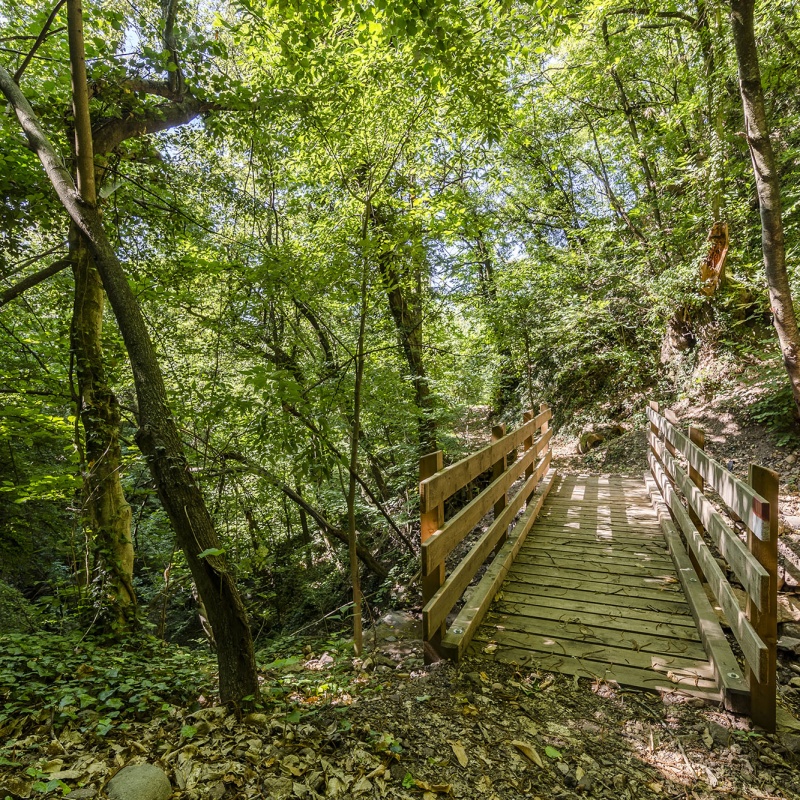 Burgenweg Jenesien
