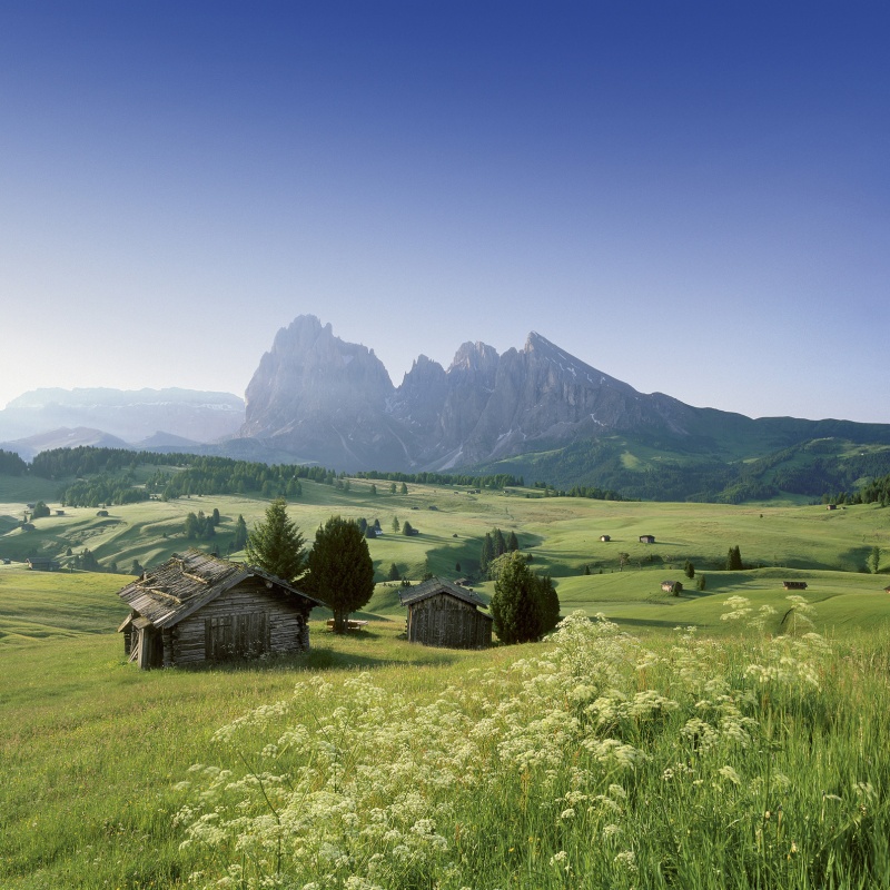 Markenbilder