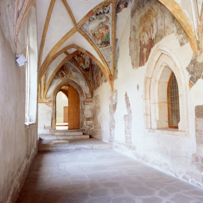 Immagine 1