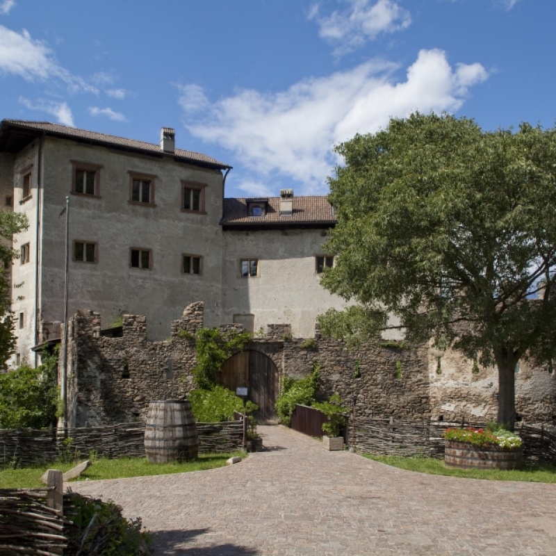 Immagine 1