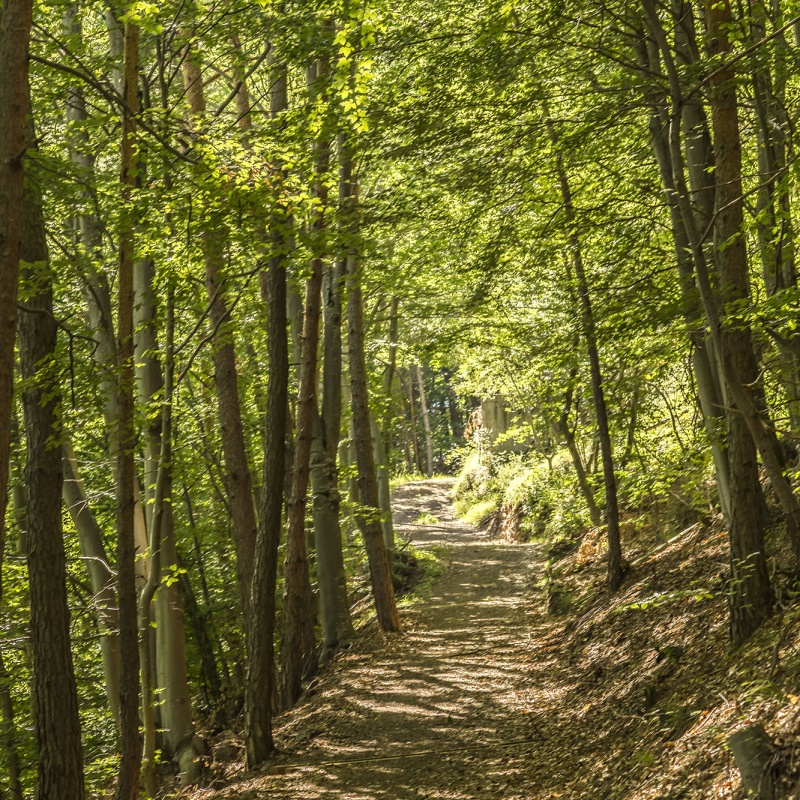 Burgenweg Jenesien